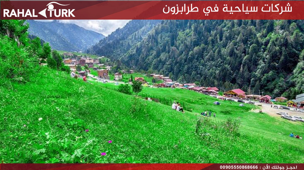 شركات سياحية في طرابزون