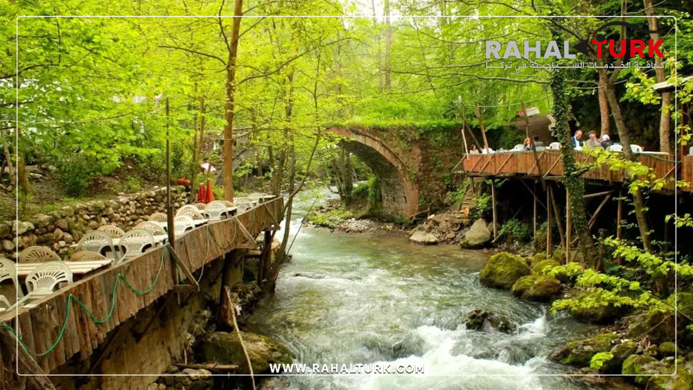 برنامج-سياحي-مقترح-في-صبنجة-لمدة-3-أيام برنامج سياحي في صبنجة دليل شامل لأجمل رحلة هروب إلى الطبيعة