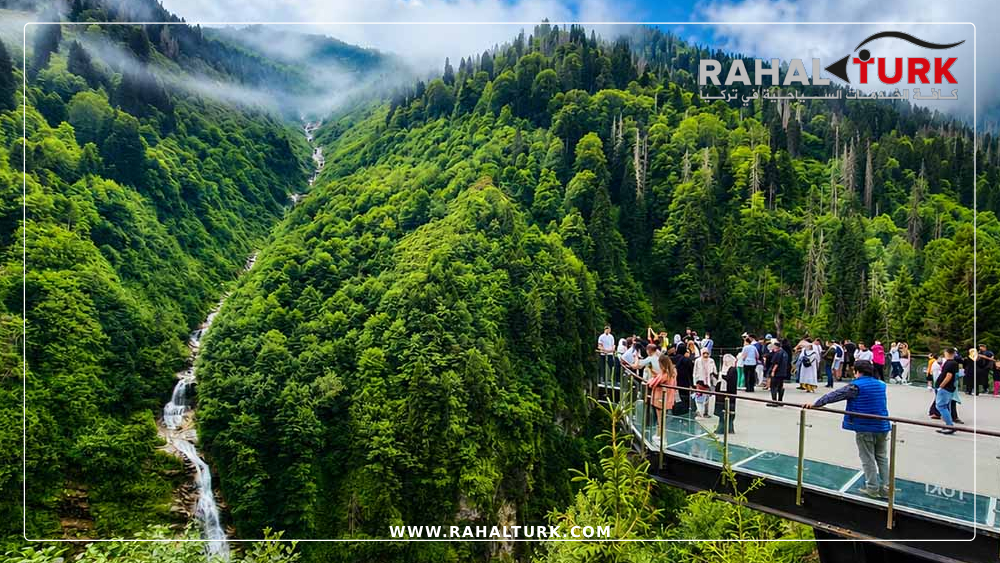 دمج-أيدر-مع-وجهات-شمالية-أخرى برنامج سياحي في أيدر دليلك الشامل لأجمل رحلة في الشمال التركي