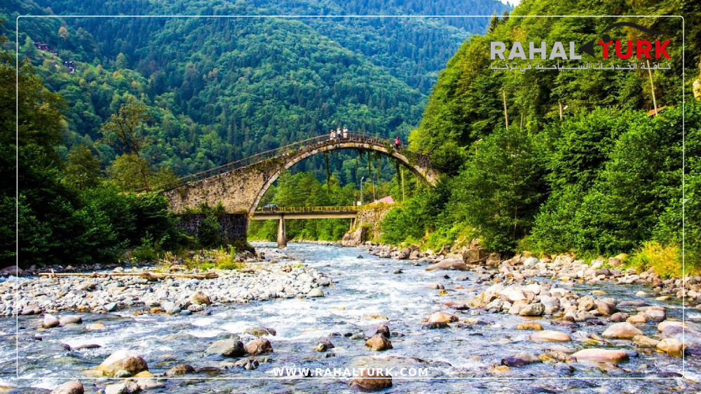 السياحة-في-أيدر-في-الربيع_-تجربة-تناسب-الجميع السياحة في أيدر في الربيع: جمال الطبيعة بين الأزهار والينابيع الساخنة