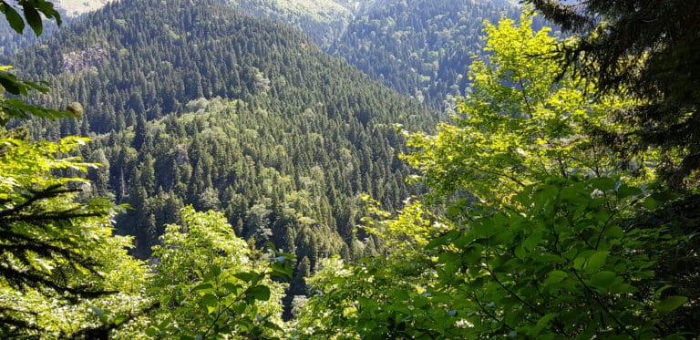 جولة مدينة طرابزون TRABZON 🔗