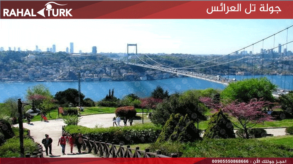 جولة تل العرائس
