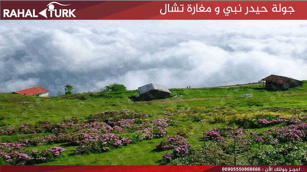جولة حيدر نبي و مغارة تشال