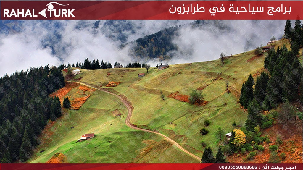 سيارة بدون سائق