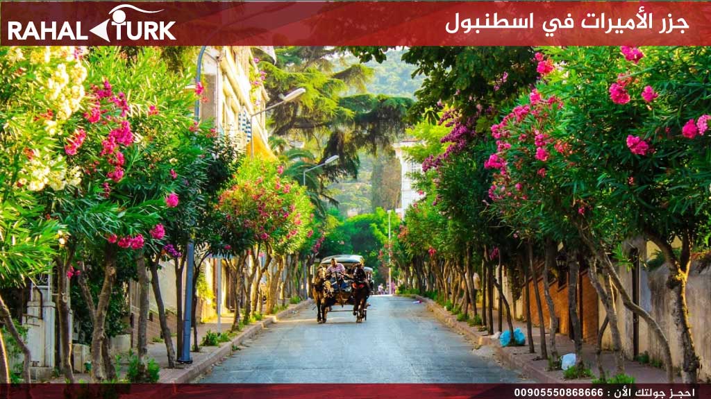 جزر الأميرات في اسطنبول