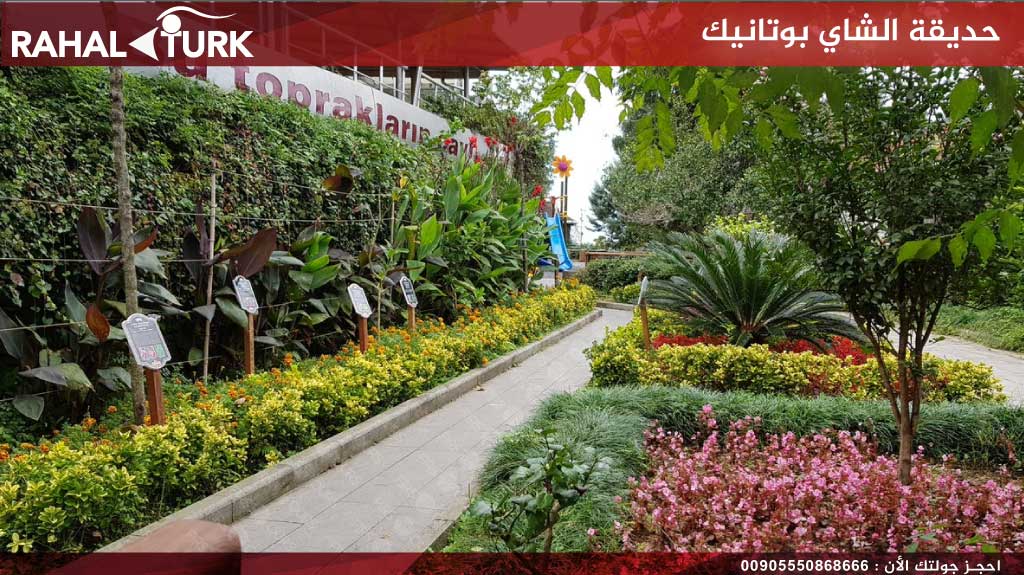 حديقة الشاي بوتانيك