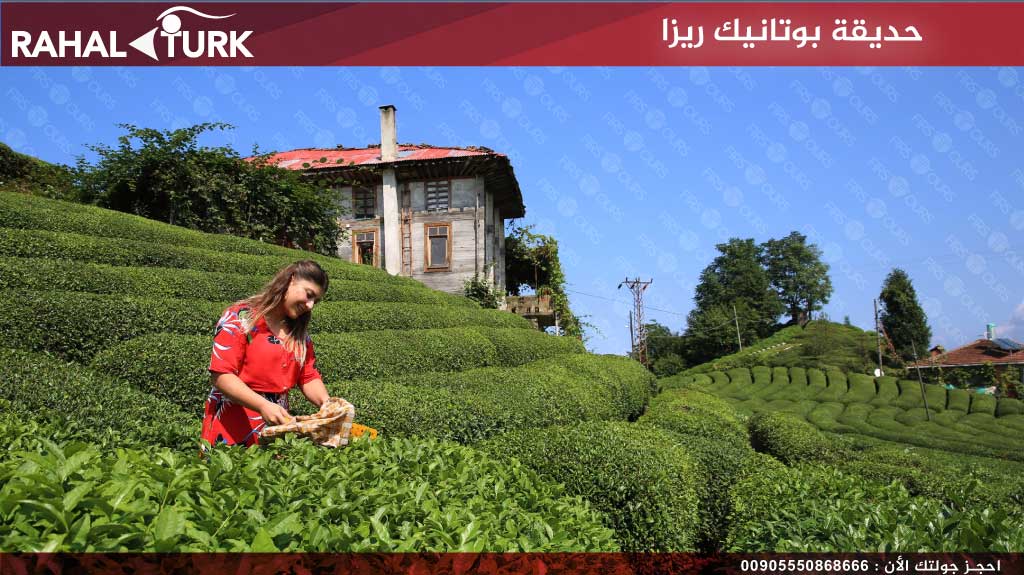 حديقة-بوتانيك-ريزا