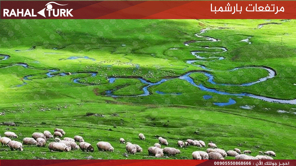 مرتفعات بارشمبا