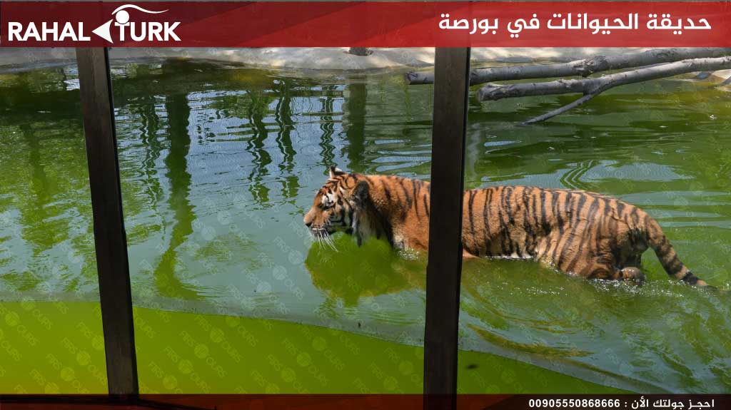 حديقة الحيوانات في بورصة