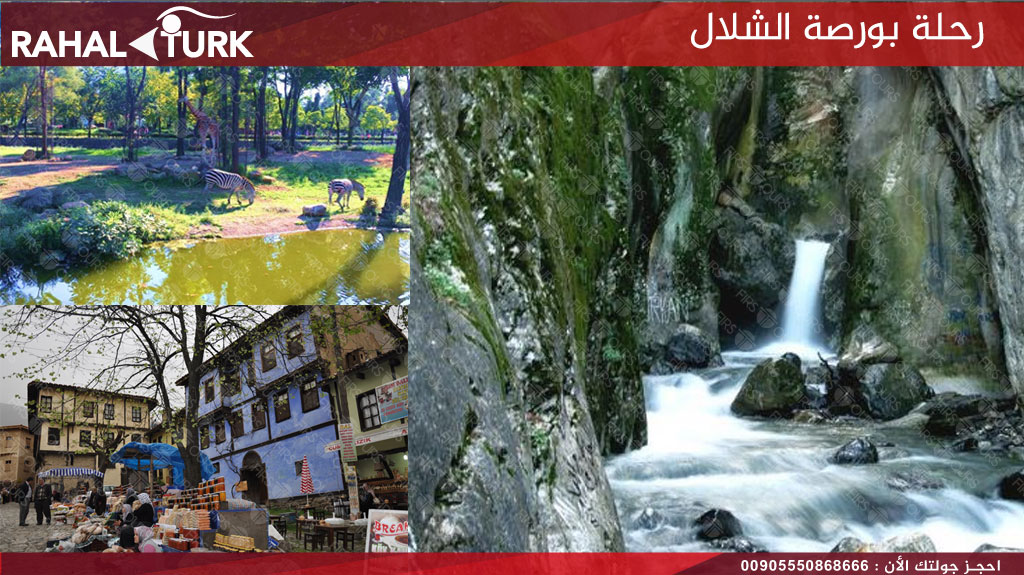 رحلة بورصة الشلال