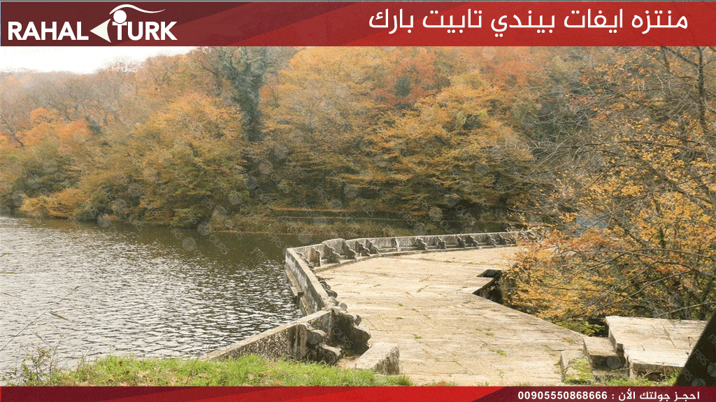 منتزه ايفات بيندي تابيت بارك