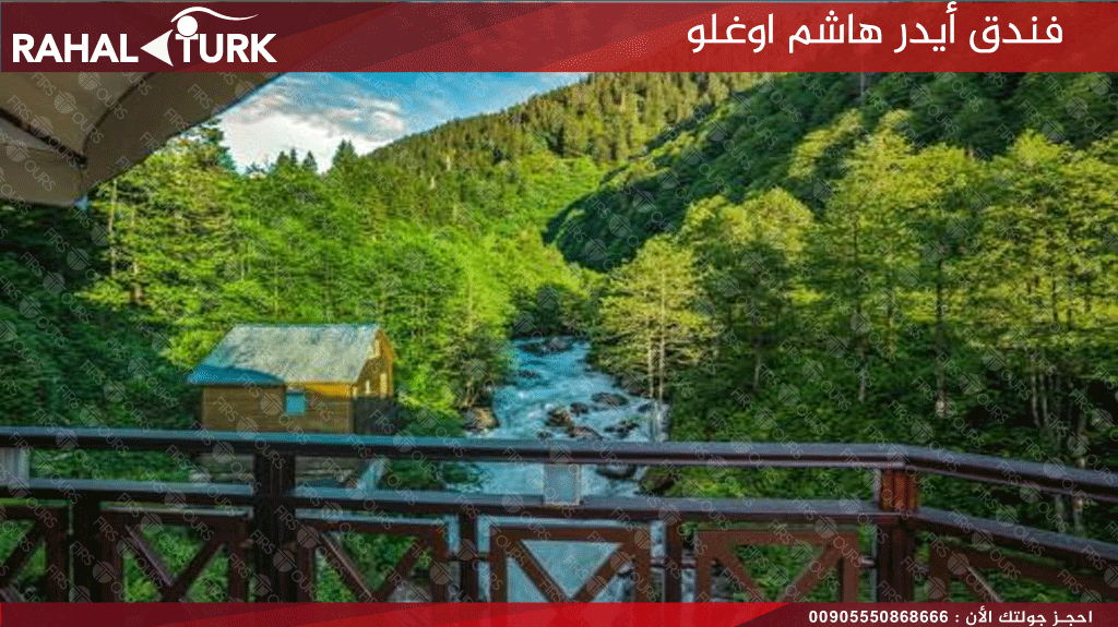 أيدر هاشم اوغلو اطلالة