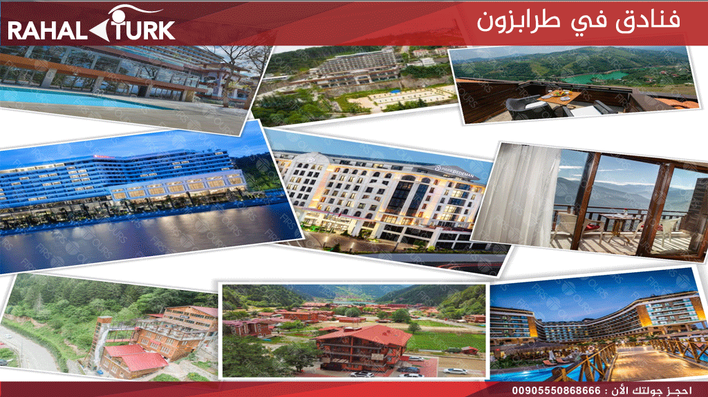 سيارة بدون سائق في طرابزون