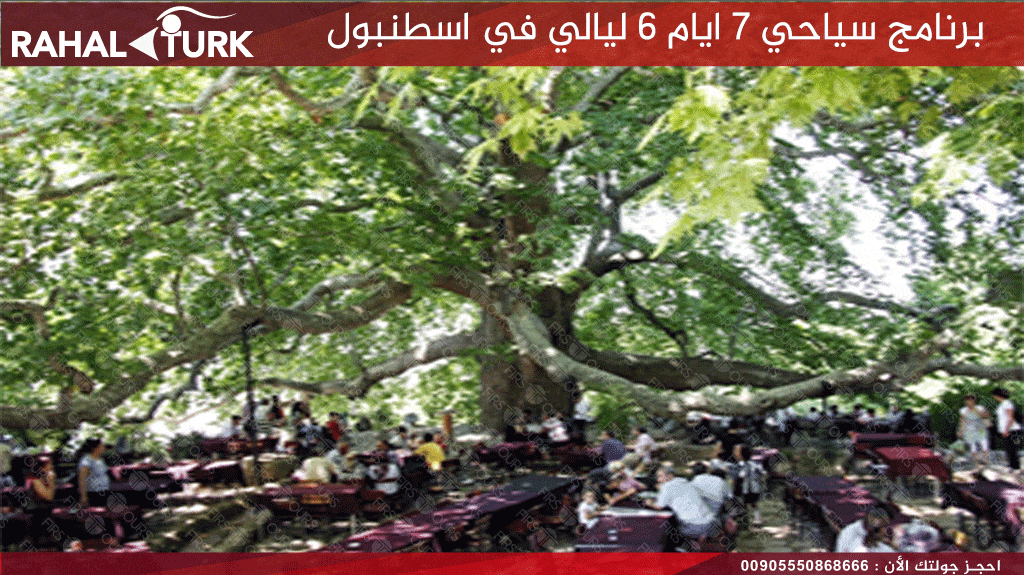 برنامج سياحي 6 ليالي
