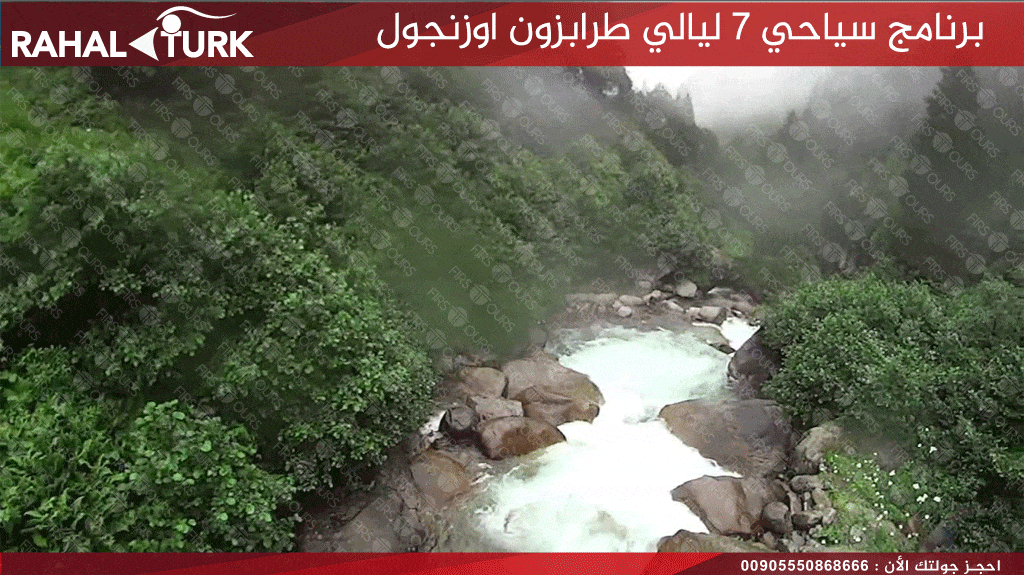 ايدر