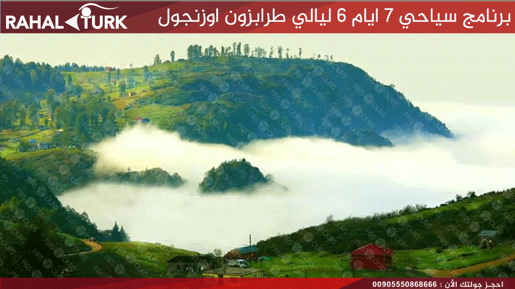 حيدر نبي