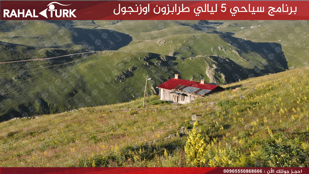 مرتفعات شكرسو