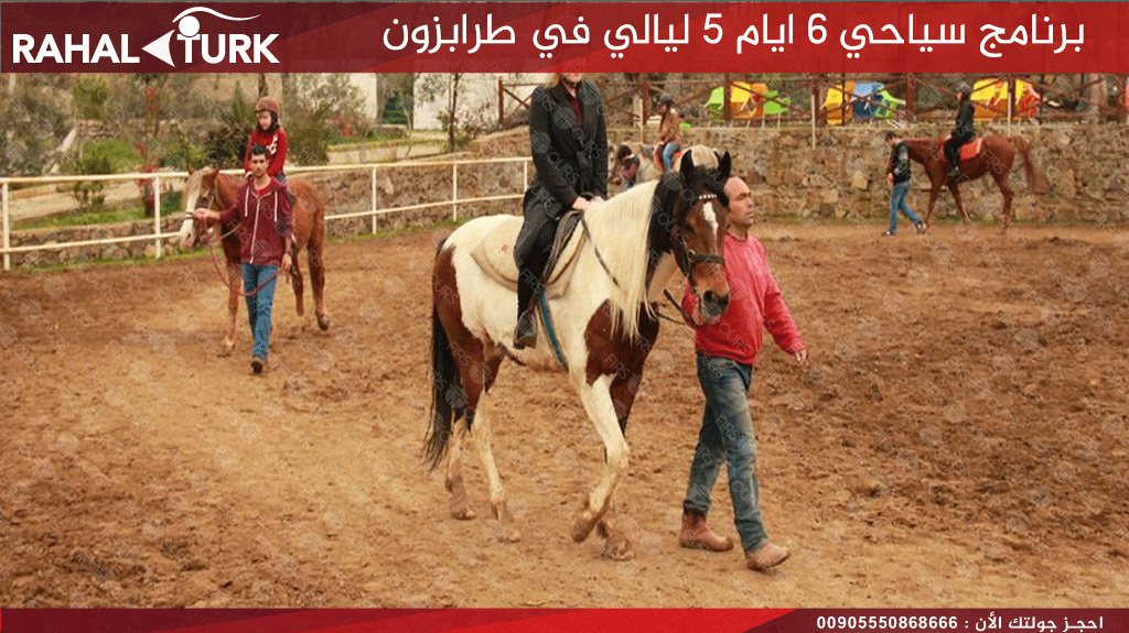 مزرعة الخيول تشاي كارا
