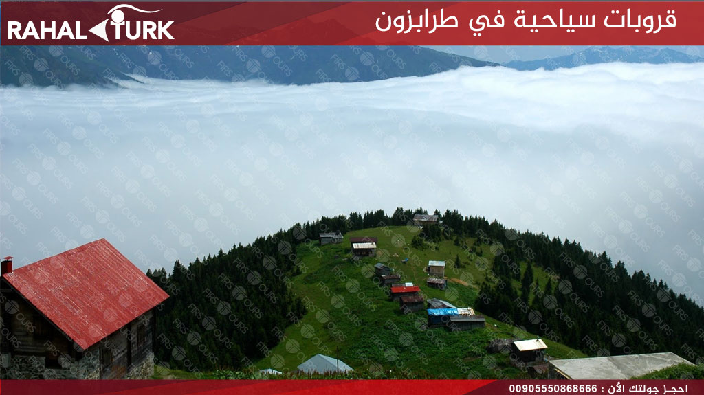 حيدر نبي