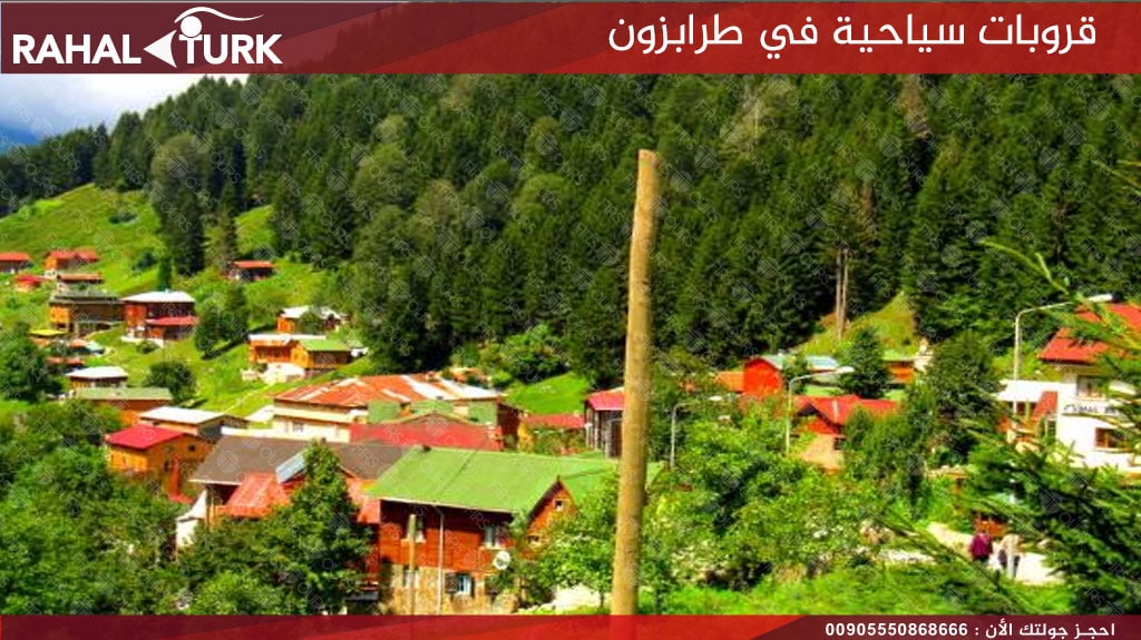 قروبات سياحية ايدر
