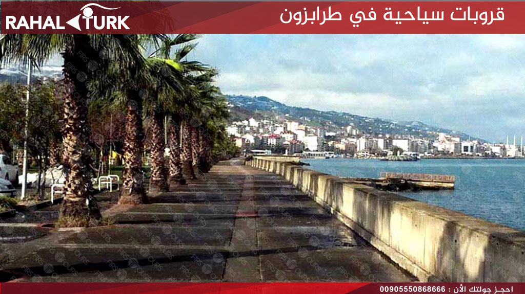 رحلات سياحية