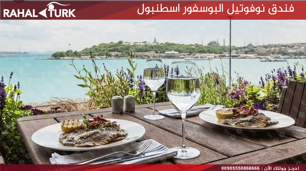 نوفوتيل البوسفور اسطنبول الإطلالة