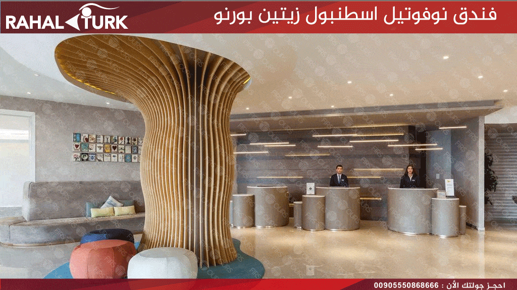 نوفوتيل زيتين بورنو الاستقبال
