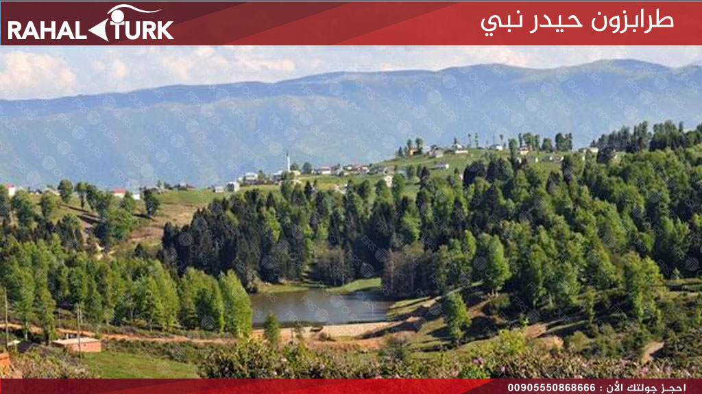 طرابزون حيدر نبي