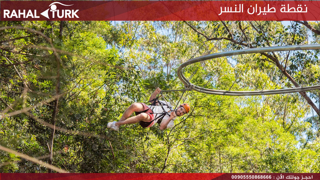 نقطة طيران النسر