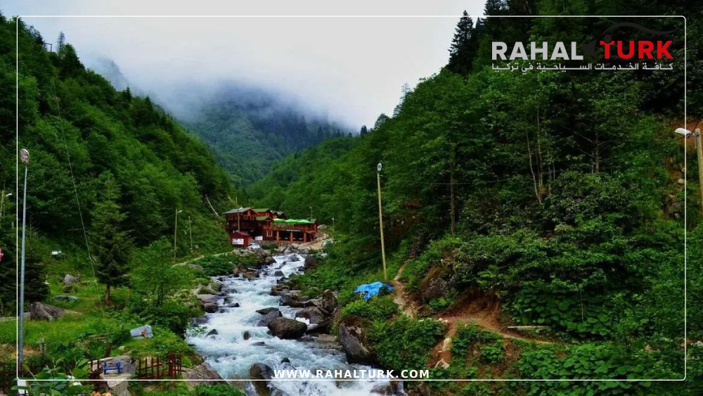 نصائح ذهبية لقضاء أفضل رحلة سياحية في أيدر