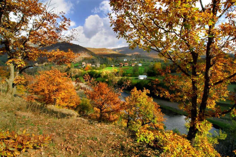 رحلة أوردو ORDU 🔗