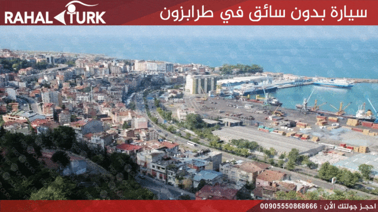 سيارة بدون سائق في طرابزون