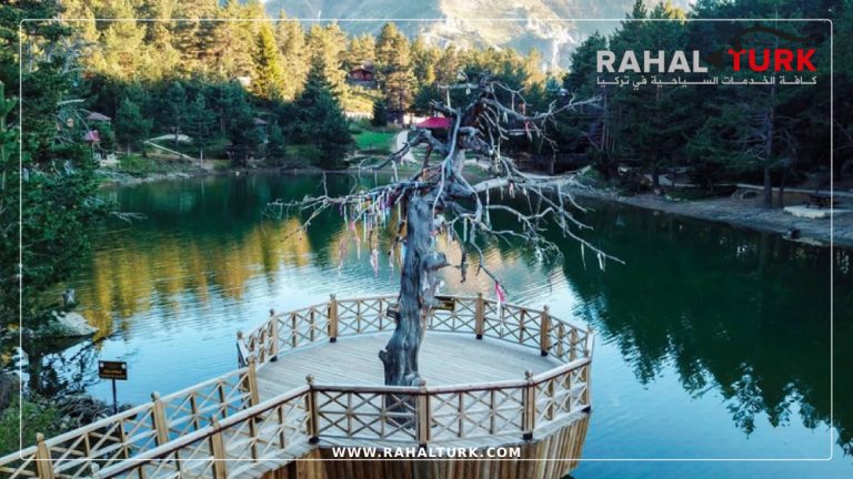 رحلة الشمال التركي 7 أيام خطة سياحية متكاملة