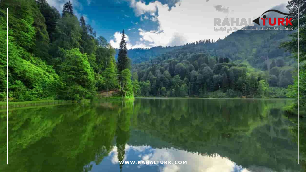 نصائح مهمة قبل السفر